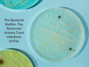 The Bacterial Biofilm: The Recurrent Urinary Tract Infections (rUTIs)