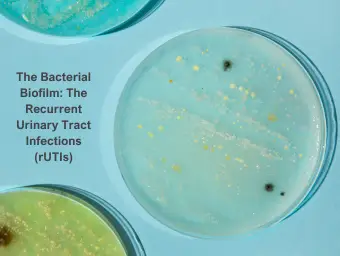 The Bacterial Biofilm: The Recurrent Urinary Tract Infections (rUTIs)