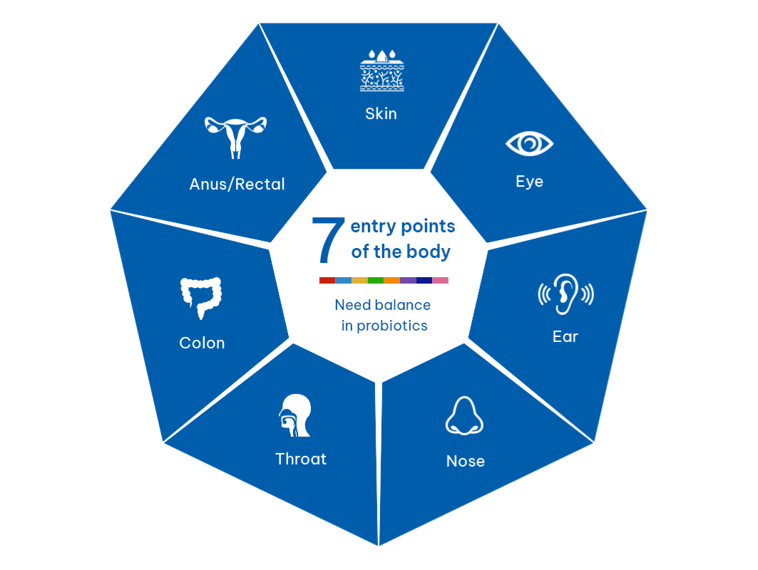 7 entry points of the body 