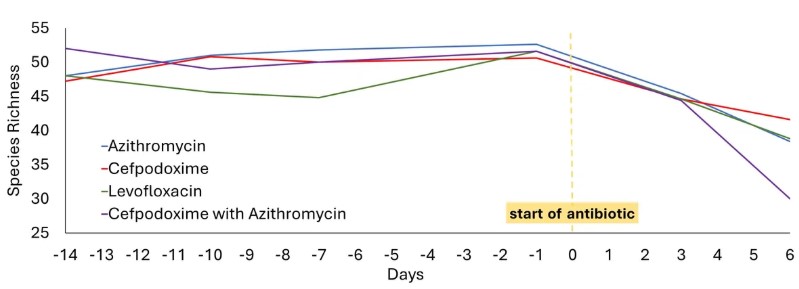 antibiotic-perturbation-of-gut-microbiomes-in-healthy-volunteers